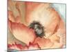 Watercolor Poppy II-Megan Meagher-Mounted Art Print