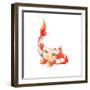 Watercolor Rainbow Carp. Hand Drawn Natural Fish Isolated on White Background. Vector Oriental Wild-Eisfrei-Framed Art Print