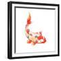 Watercolor Rainbow Carp. Hand Drawn Natural Fish Isolated on White Background. Vector Oriental Wild-Eisfrei-Framed Art Print