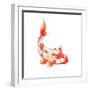 Watercolor Rainbow Carp. Hand Drawn Natural Fish Isolated on White Background. Vector Oriental Wild-Eisfrei-Framed Art Print