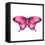 Watercolor Red Butterfly with Ruby-Eisfrei-Framed Stretched Canvas