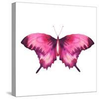 Watercolor Red Butterfly with Ruby-Eisfrei-Stretched Canvas