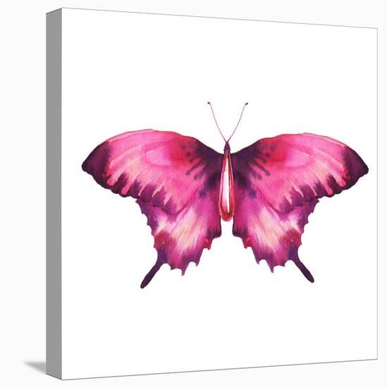 Watercolor Red Butterfly with Ruby-Eisfrei-Stretched Canvas