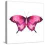 Watercolor Red Butterfly with Ruby-Eisfrei-Stretched Canvas