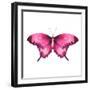 Watercolor Red Butterfly with Ruby-Eisfrei-Framed Art Print