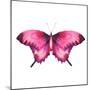 Watercolor Red Butterfly with Ruby-Eisfrei-Mounted Art Print