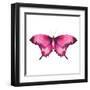 Watercolor Red Butterfly with Ruby-Eisfrei-Framed Art Print