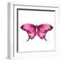 Watercolor Red Butterfly with Ruby-Eisfrei-Framed Art Print