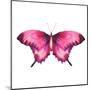 Watercolor Red Butterfly with Ruby-Eisfrei-Mounted Art Print