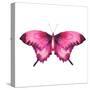 Watercolor Red Butterfly with Ruby-Eisfrei-Stretched Canvas