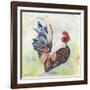 Watercolor Rooster-A-Jean Plout-Framed Giclee Print