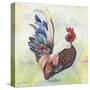 Watercolor Rooster-A-Jean Plout-Stretched Canvas