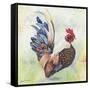 Watercolor Rooster-A-Jean Plout-Framed Stretched Canvas