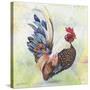 Watercolor Rooster-A-Jean Plout-Stretched Canvas