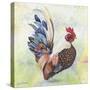 Watercolor Rooster-A-Jean Plout-Stretched Canvas