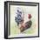 Watercolor Rooster-A-Jean Plout-Framed Giclee Print