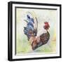 Watercolor Rooster-A-Jean Plout-Framed Giclee Print