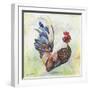 Watercolor Rooster-A-Jean Plout-Framed Giclee Print