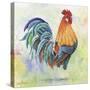 Watercolor Rooster-B-Jean Plout-Stretched Canvas