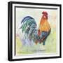 Watercolor Rooster-B-Jean Plout-Framed Giclee Print