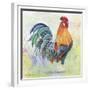 Watercolor Rooster-B-Jean Plout-Framed Giclee Print