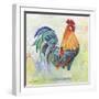 Watercolor Rooster-B-Jean Plout-Framed Giclee Print