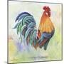 Watercolor Rooster-B-Jean Plout-Mounted Giclee Print