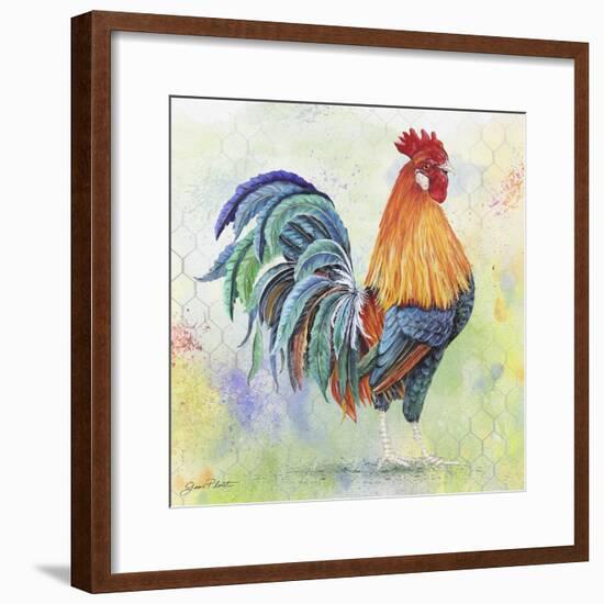 Watercolor Rooster-B-Jean Plout-Framed Giclee Print