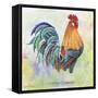Watercolor Rooster-B-Jean Plout-Framed Stretched Canvas