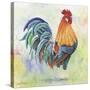 Watercolor Rooster-B-Jean Plout-Stretched Canvas