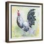 Watercolor Rooster-C-Jean Plout-Framed Giclee Print