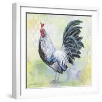 Watercolor Rooster-C-Jean Plout-Framed Giclee Print