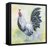 Watercolor Rooster-C-Jean Plout-Framed Stretched Canvas