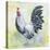 Watercolor Rooster-C-Jean Plout-Stretched Canvas