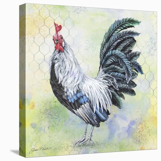 Watercolor Rooster-C-Jean Plout-Stretched Canvas