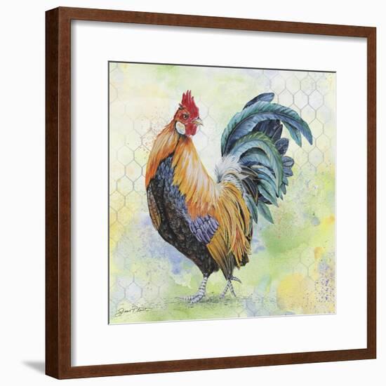 Watercolor Rooster-D-Jean Plout-Framed Giclee Print