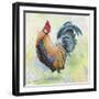 Watercolor Rooster-D-Jean Plout-Framed Giclee Print