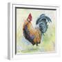 Watercolor Rooster-D-Jean Plout-Framed Giclee Print