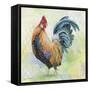 Watercolor Rooster-D-Jean Plout-Framed Stretched Canvas