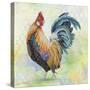 Watercolor Rooster-D-Jean Plout-Stretched Canvas