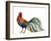 Watercolor Rooster. Farm Animals Silhouette Sketch. Wildlife Art Illustration. Vintage Graphic for-Tatyana Komtsyan-Framed Art Print