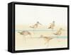 Watercolor Sandpipers I-Avery Tillmon-Framed Stretched Canvas