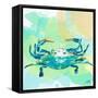 Watercolor Sea Creatures I-Julie DeRice-Framed Stretched Canvas