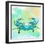 Watercolor Sea Creatures I-Julie DeRice-Framed Art Print