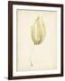 Watercolor Sea Grass III-Grace Popp-Framed Art Print