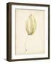 Watercolor Sea Grass III-Grace Popp-Framed Art Print