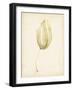 Watercolor Sea Grass III-Grace Popp-Framed Art Print