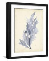 Watercolor Sea Grass VI-Grace Popp-Framed Art Print