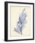 Watercolor Sea Grass VI-Grace Popp-Framed Art Print