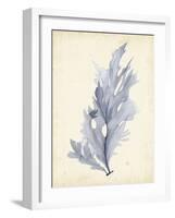 Watercolor Sea Grass VI-Grace Popp-Framed Art Print